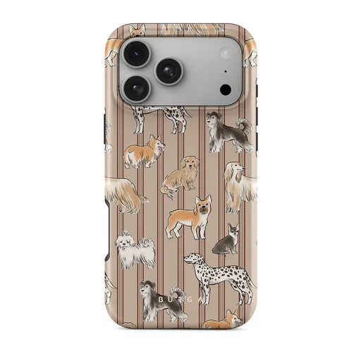 iPhone 17 Pro Max Case, Playground | BURGA